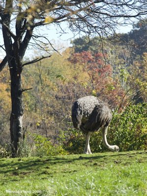 Pittsburgh Zoo & Acquarium