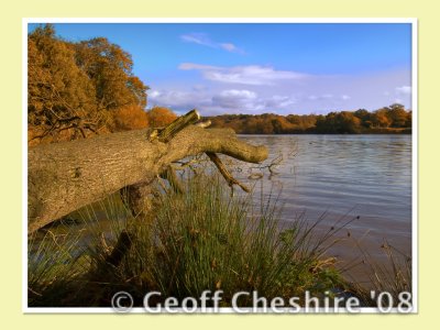 Carr Mill dam