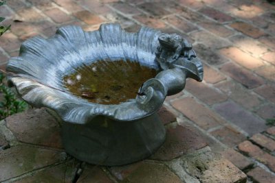 Birdbath at the Carla Garden