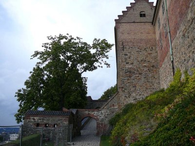 P1080964.jpg