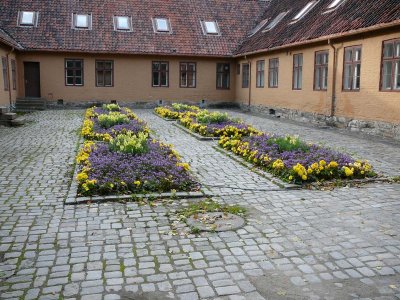 P1080988.jpg