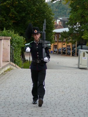 P1090011.jpg
