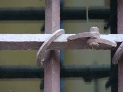 P1090016.jpg