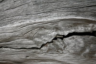 Driftwood Pattern