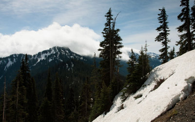 Hurri Ridge 1