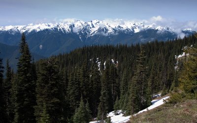 Hurri Ridge 2