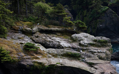 Cape Flattery