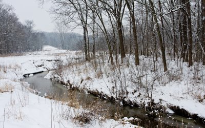 Winter Stream
