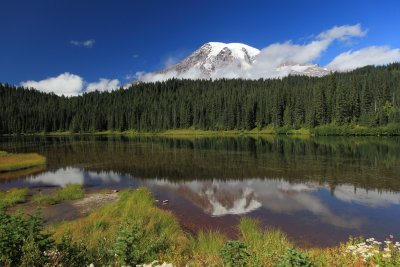 Reflection Lake / Mt. Rainier