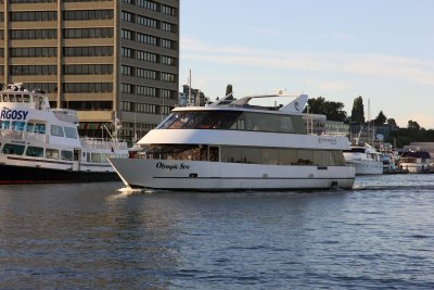 Dinner Cruise