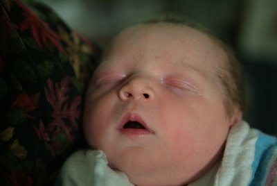 DSCF1141.jpg