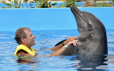 DSC_0176.jpg