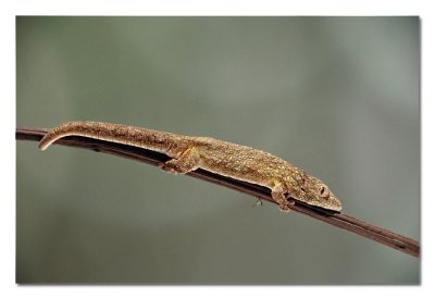 6832_web.jpg