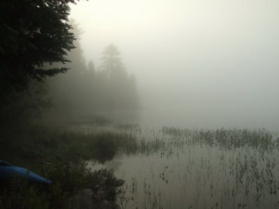 Foggy morning (club lake)