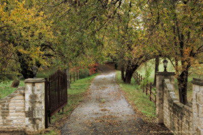 falls_shots_at_sunnydale
