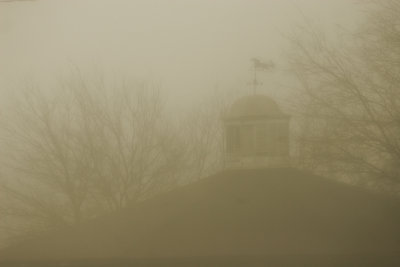 fog13.jpg