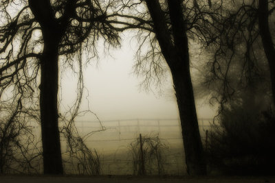 fog
