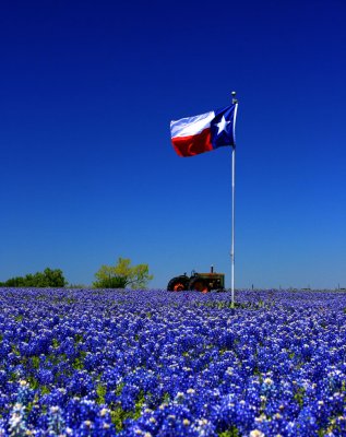 flag1hdr.jpg