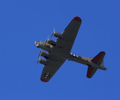 warbirds08