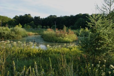 Pond at Whitney Water Purification Park
