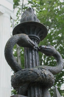 Snakes Kissing