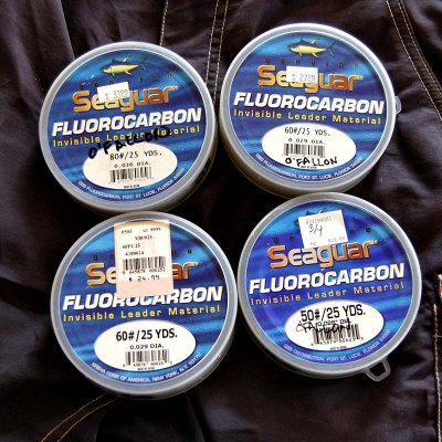 Seaguar 1.jpg