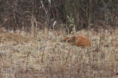 g1/58/383658/3/110472008.a32YXcET.jpg