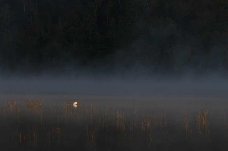 _DSC2631.jpg