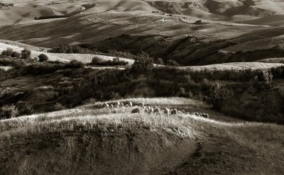 Val d'Orcia 4