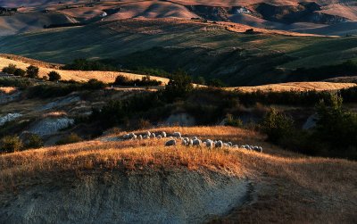 Val d'Orcia, Tuscany 1