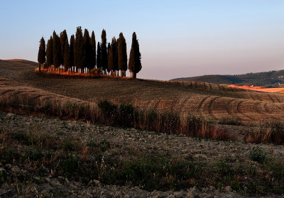 Val d'Orcia, Tuscany 7