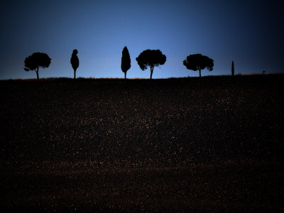 Val d'Orcia, Tuscany 8