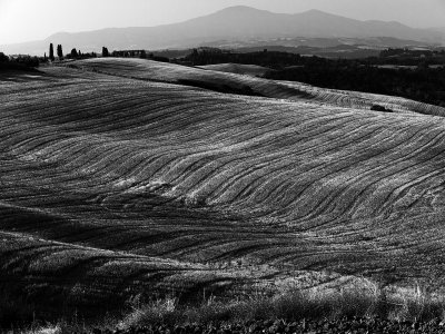Val d'Orcia 8