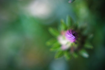 g1/58/412458/3/113607858.8SWK2T2p.jpg