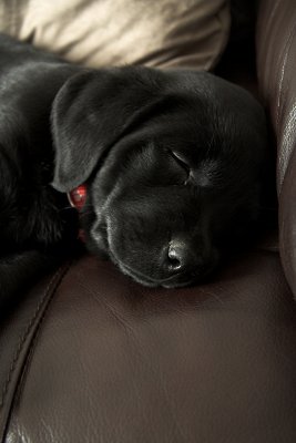 g1/58/412458/3/126468385.A6GPbgLI.jpg