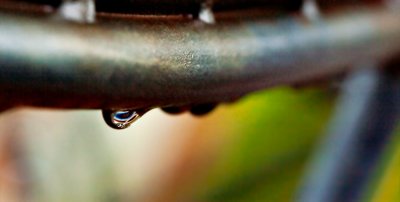 _MG_3800.jpg