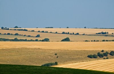g1/58/448558/3/97897846.ZVXUkrjE.jpg