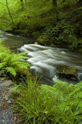 Lydford Gorge