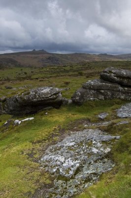 view from Hound Tor