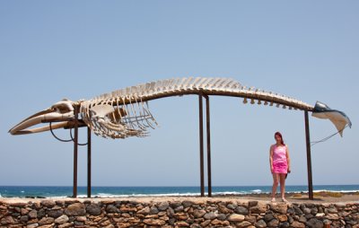 Fuerteventura066.jpg