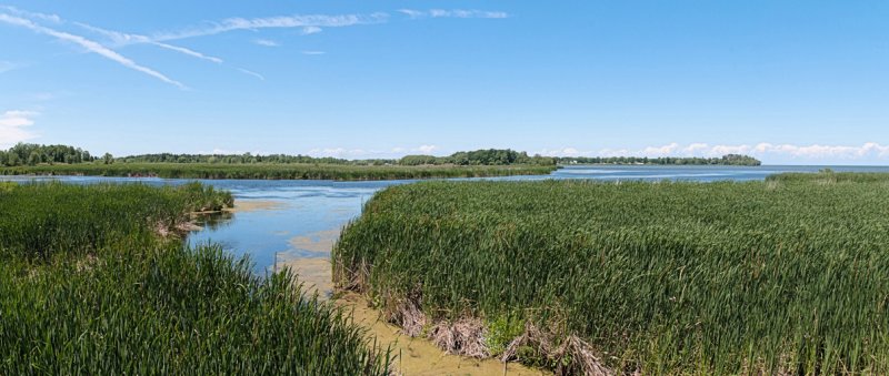 Braddocks Bay