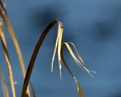 October's end