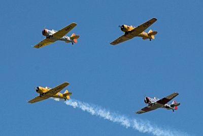 g1/58/525658/3/115064502.T6cEPr2Q.jpg