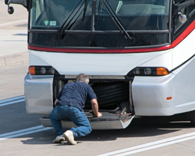 bus butt