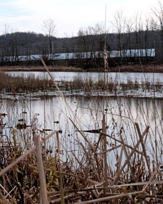 29 near Rt. 31