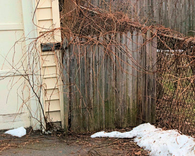 gate by the garage