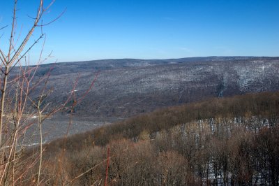 winter landscape