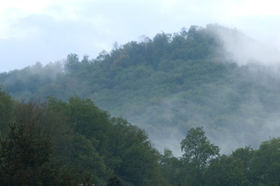 fog after rain