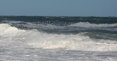 Alantic ocean off Merritt Island,Fl.