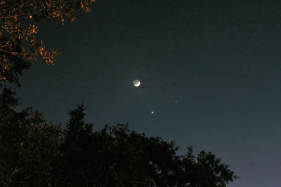 Venus (the brightest),Jupiter, and Moon